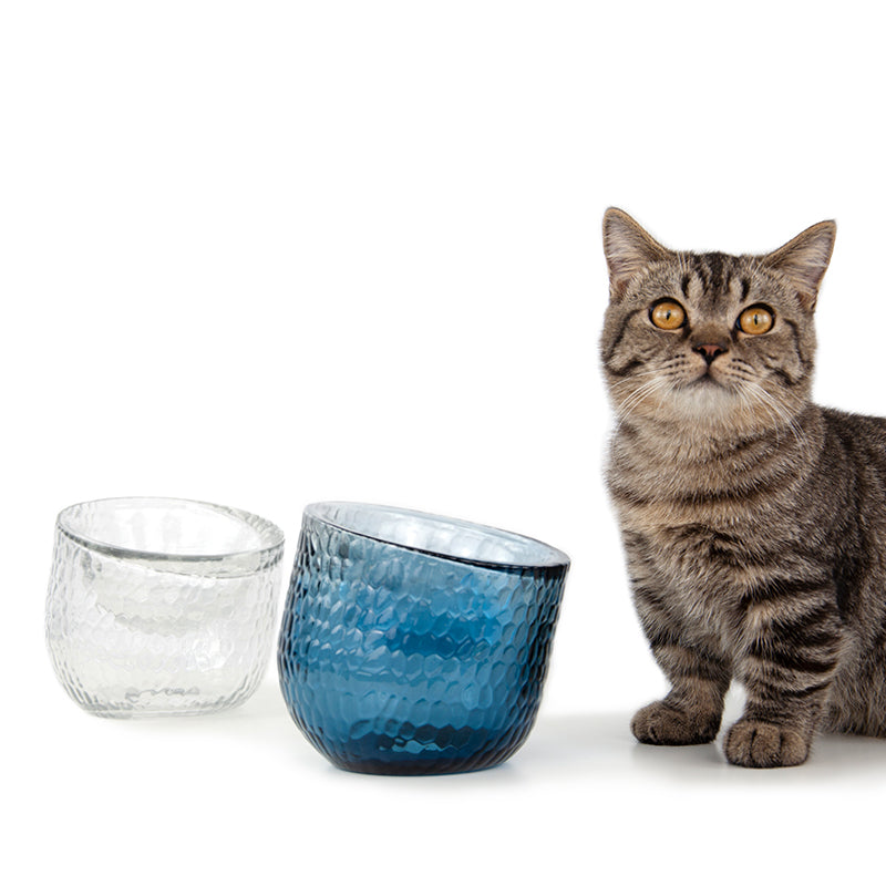 Pet Water Bowl Anti-Tip Glass Transparent Cat and Dog Food Bowl