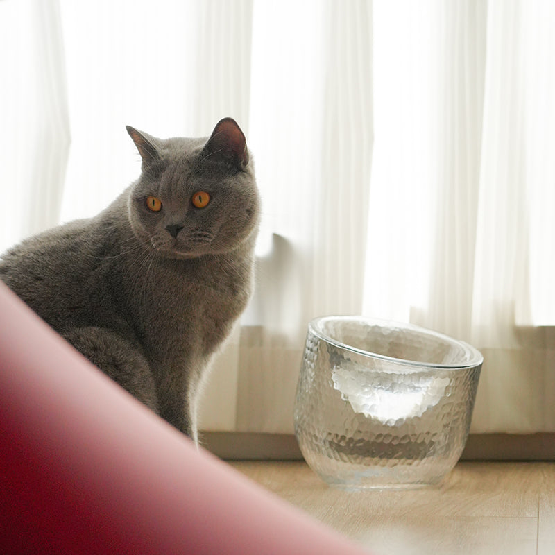 Pet Water Bowl Anti-Tip Glass Transparent Cat and Dog Food Bowl