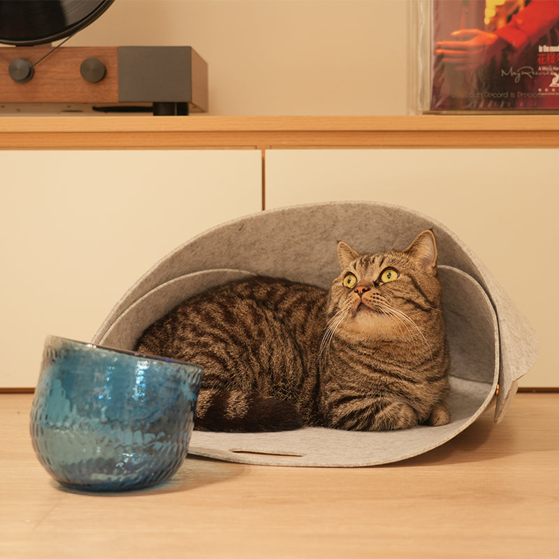 Leather & Felt Convertible Pet Bed/Carrier