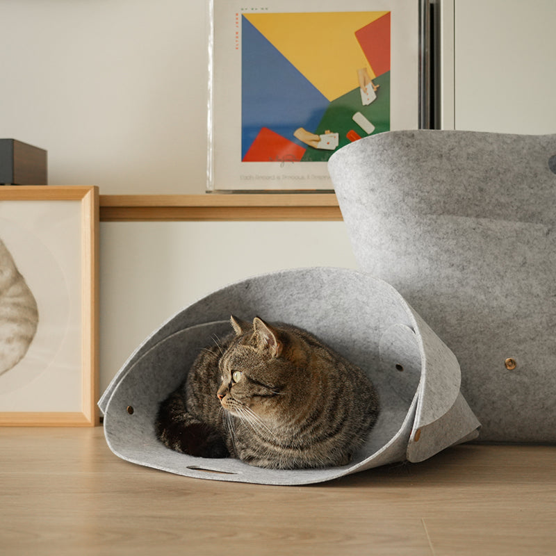Leather & Felt Convertible Pet Bed/Carrier