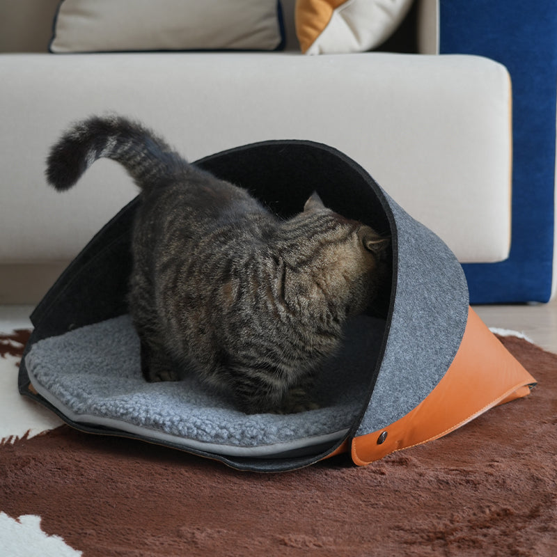 Leather & Felt Convertible Pet Bed/Carrier