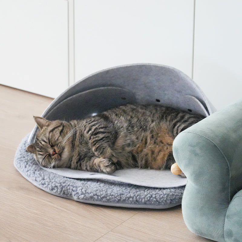 Leather & Felt Convertible Pet Bed/Carrier