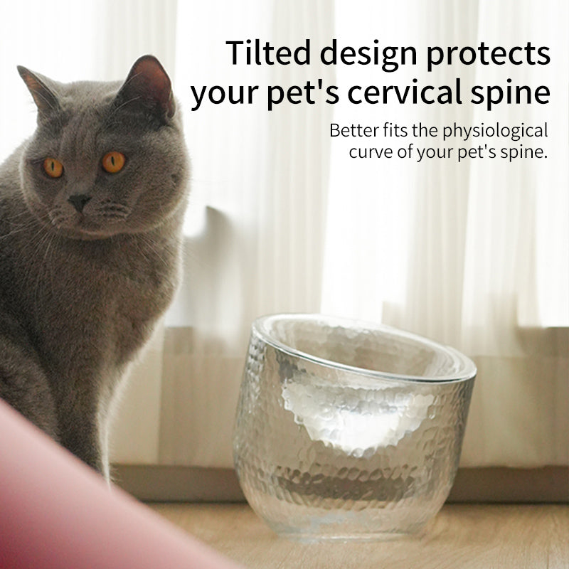 Pet Water Bowl Anti-Tip Glass Transparent Cat and Dog Food Bowl