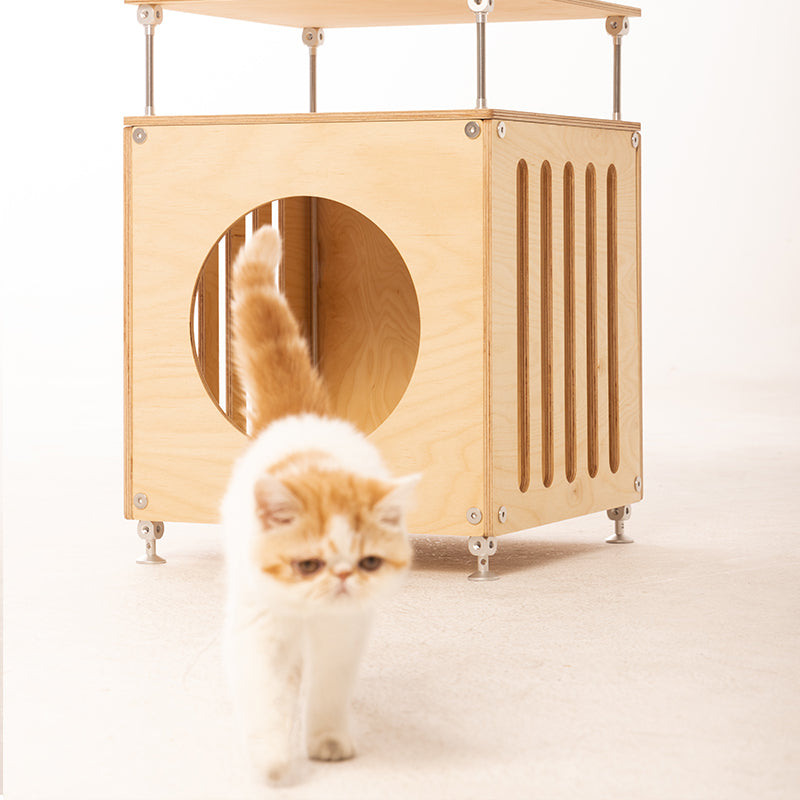 Indoor cat resting inside Haven cat house