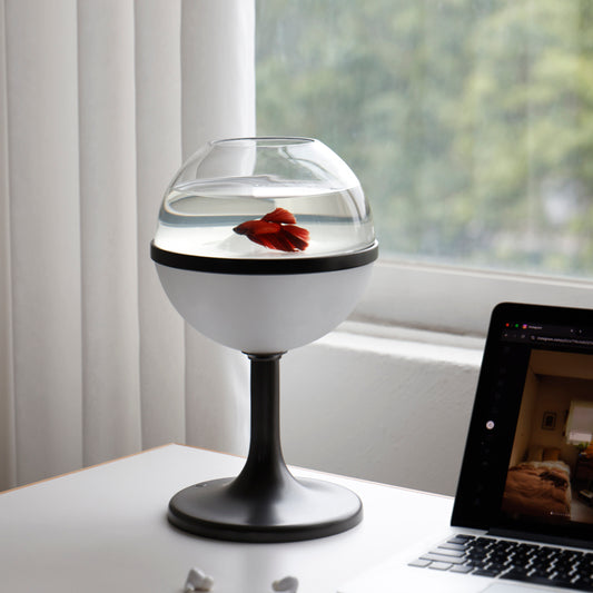 Lollipop designer desktop aquarium lamp on a shelf