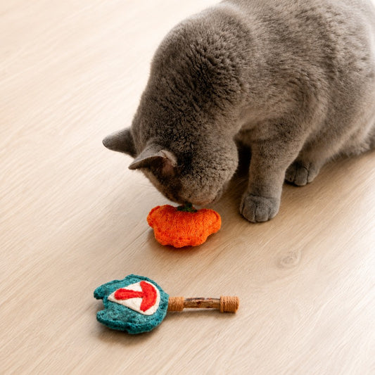 Luffa Catnip Kicker Toy Set - Natural Cat Chew Toys