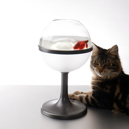 Lollipop designer desktop aquarium lamp on a shelf 1
