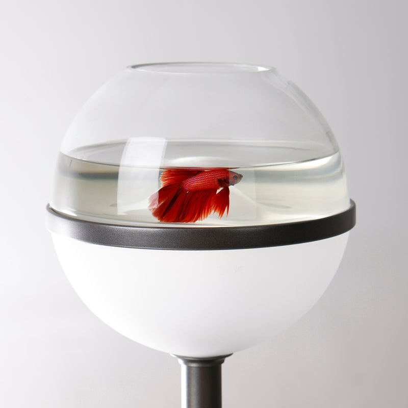 Lollipop designer desktop aquarium lamp on a shelf 8