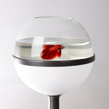 Lollipop designer desktop aquarium lamp on a shelf 8