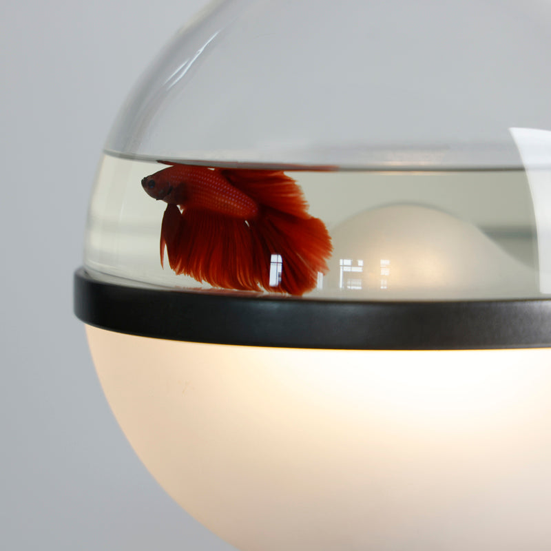 Lollipop designer desktop aquarium lamp on a shelf 7