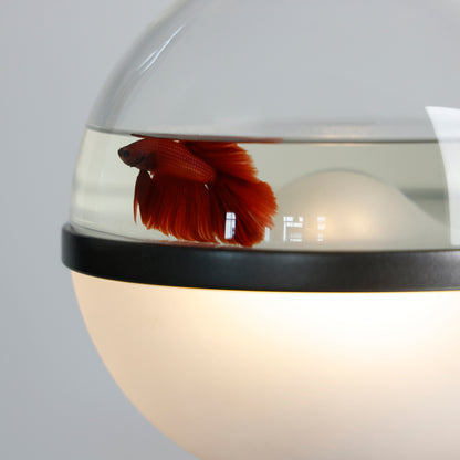 Lollipop designer desktop aquarium lamp on a shelf 7