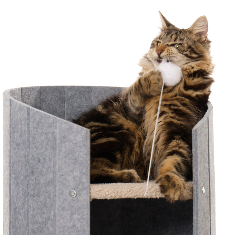 Cat resting inside Collins Cocoon Cat Bed