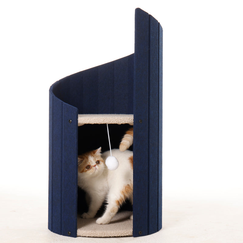 Cat sitting on the upper perch of Spiral Ladder Cat Nest 1