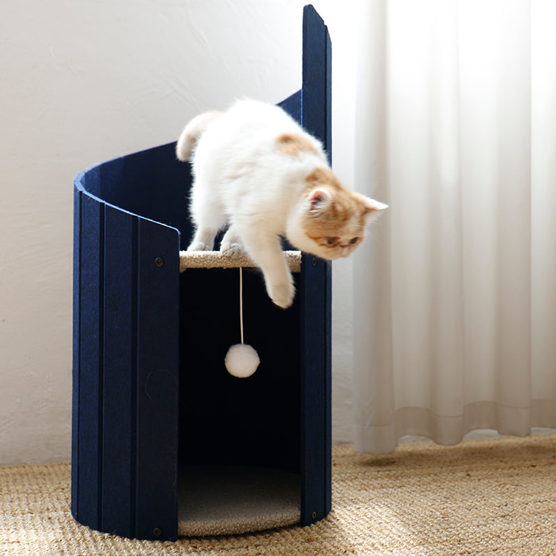 Cat sitting on the upper perch of Spiral Ladder Cat Nest 1