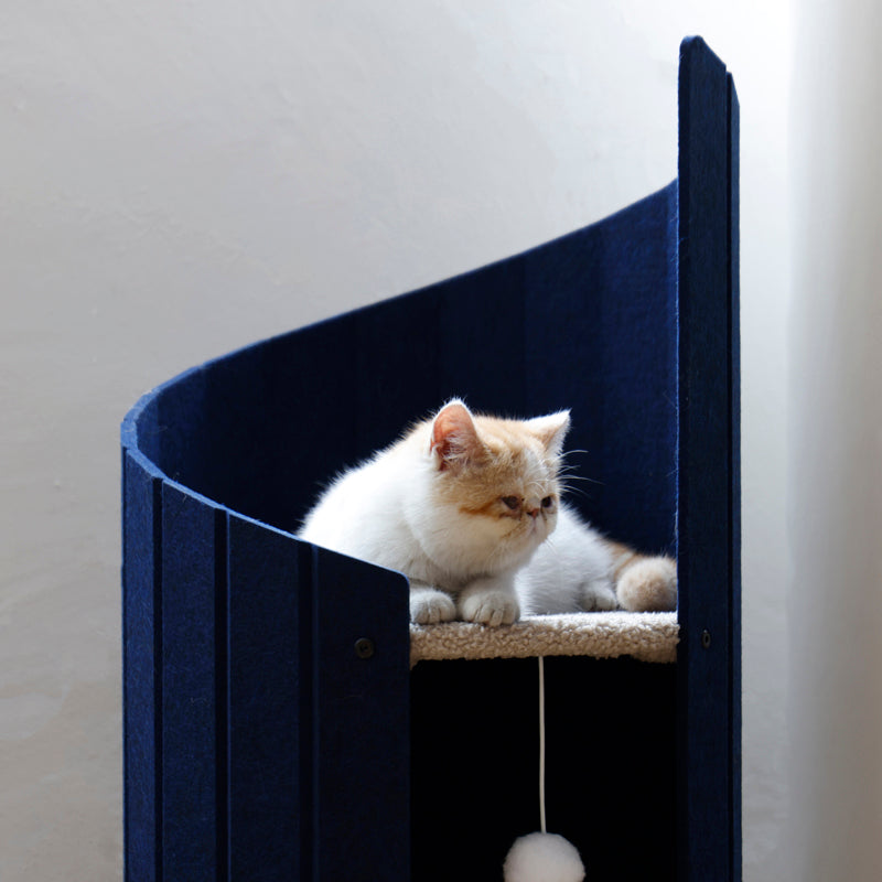 Cat sitting on the upper perch of Spiral Ladder Cat Nest 2