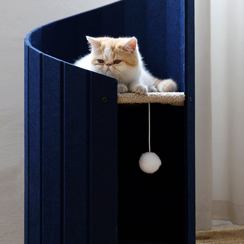 Cat sitting on the upper perch of Spiral Ladder Cat Nest 3