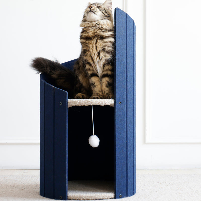 Cat sitting on the upper perch of Spiral Ladder Cat Nest 4