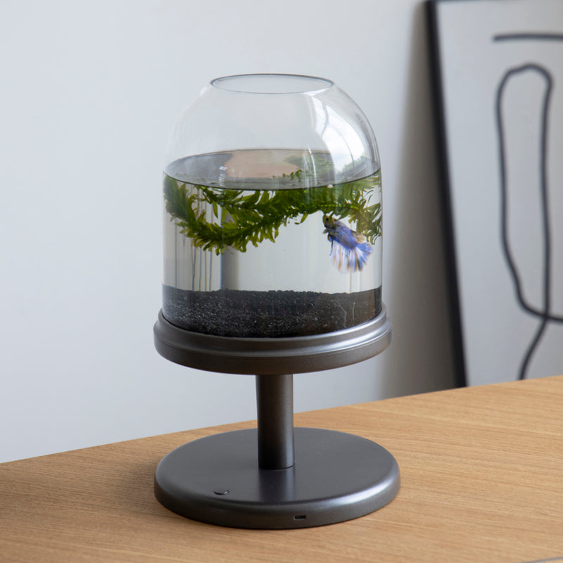 Candy Fish Lamp - Desktop Aquarium with Light