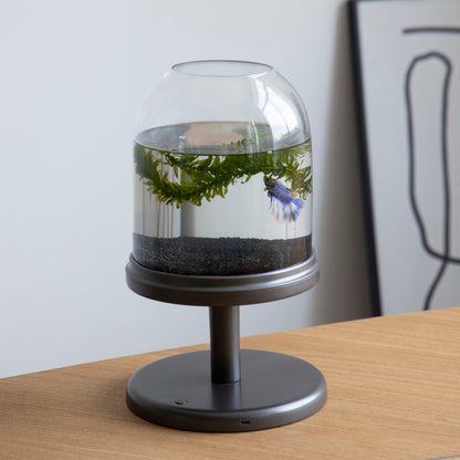 Candy Fish Lamp - Desktop Aquarium with Light