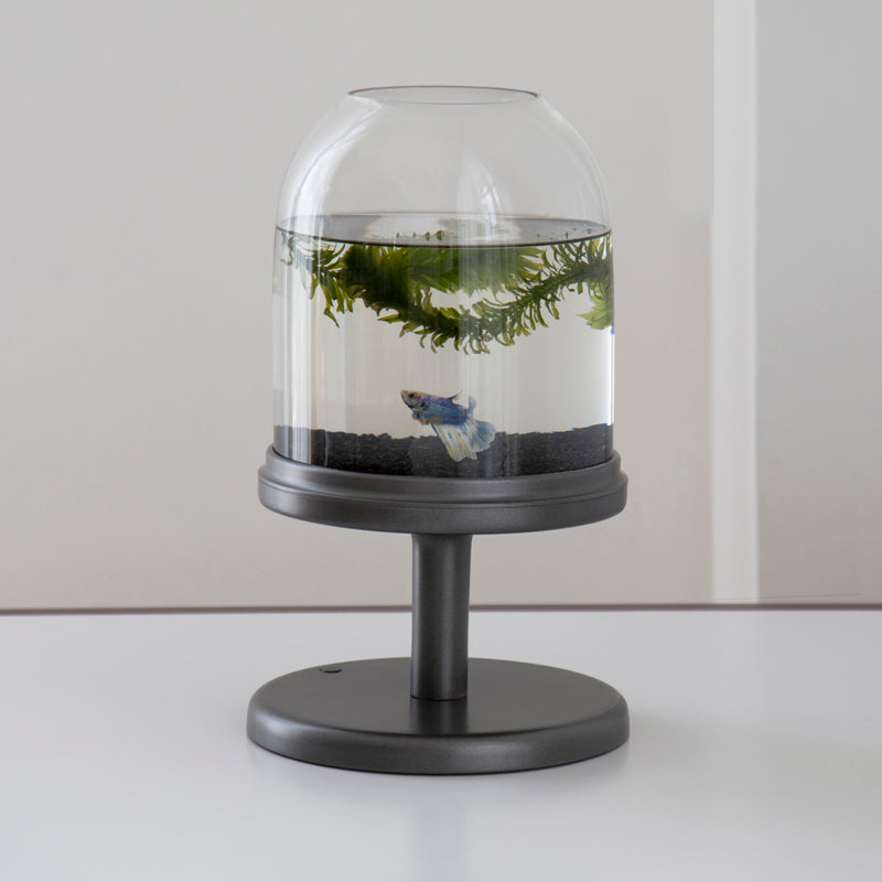 Candy Fish Lamp - Desktop Aquarium with Light