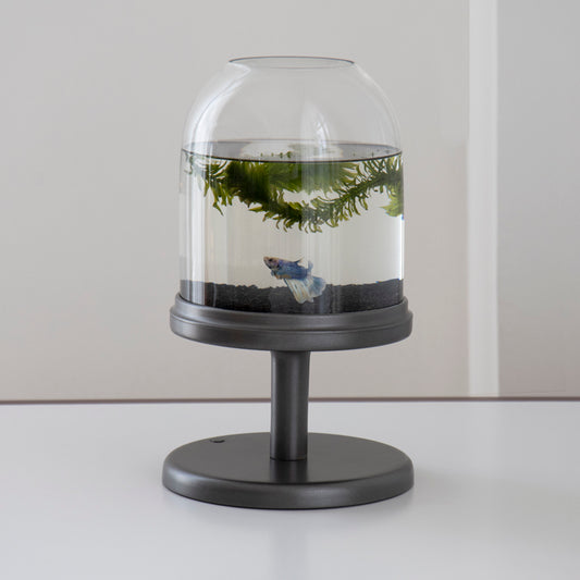 Candy Fish Lamp - Desktop Aquarium with Light