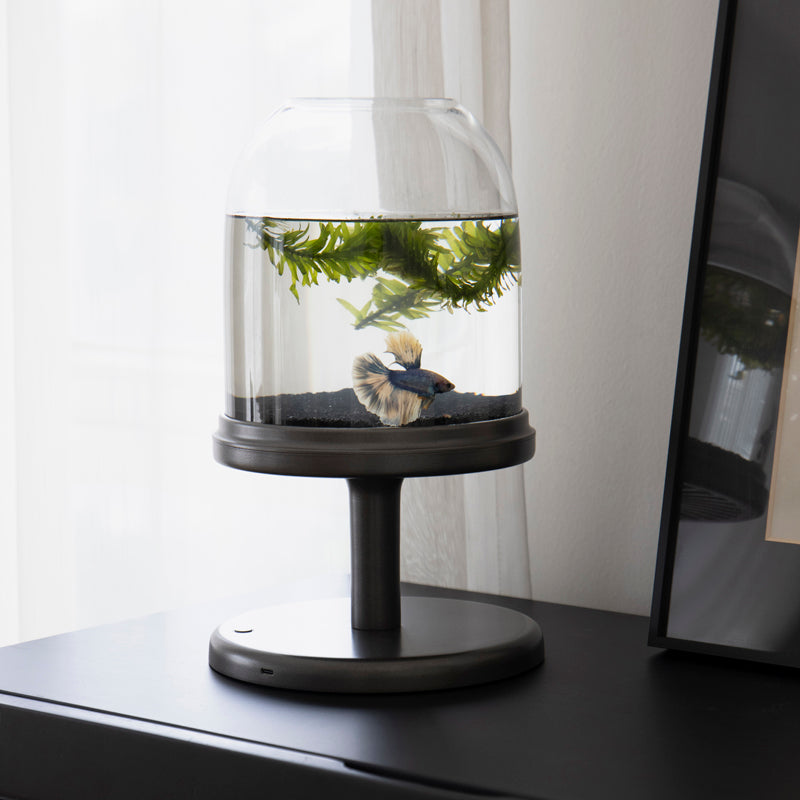 Candy Fish Lamp - Desktop Aquarium with Light