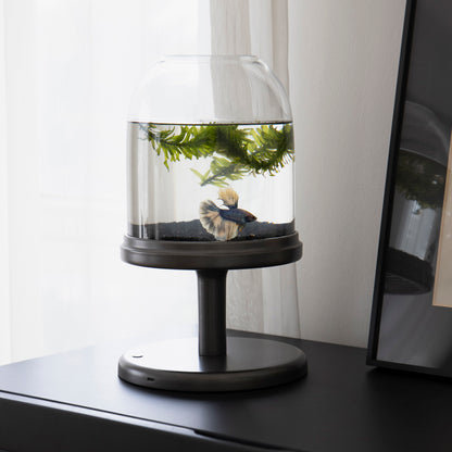 Candy Fish Lamp - Desktop Aquarium with Light