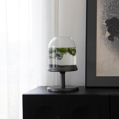 Candy Fish Lamp - Desktop Aquarium with Light