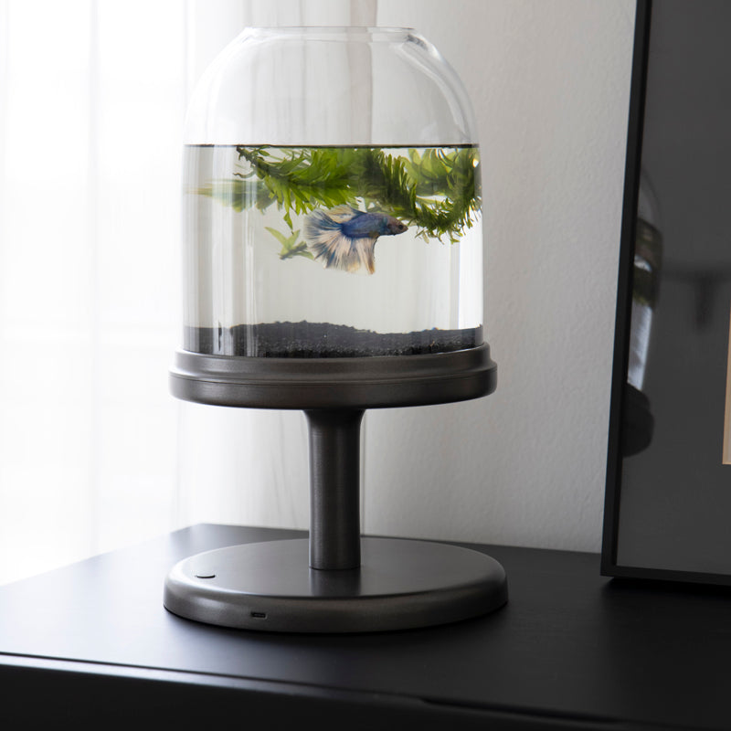Candy Fish Lamp - Desktop Aquarium with Light