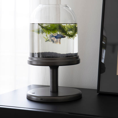 Candy Fish Lamp - Desktop Aquarium with Light