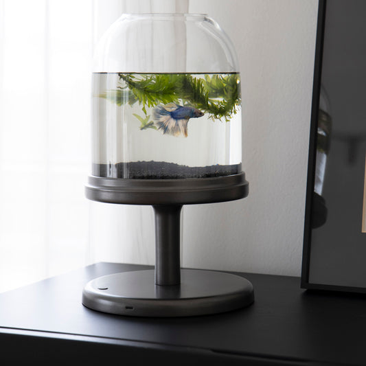 Candy Fish Lamp - Desktop Aquarium with Light