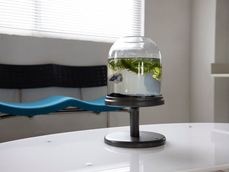 Candy Fish Lamp - Desktop Aquarium with Light