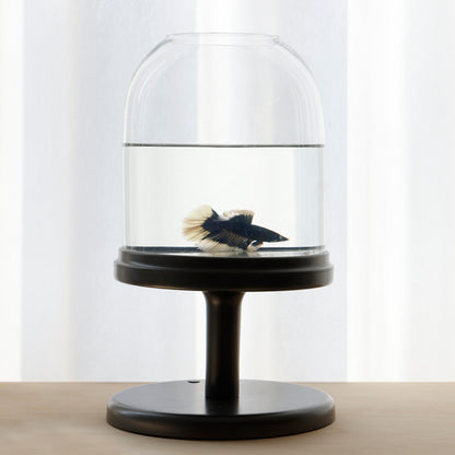 Candy Fish Lamp - Desktop Aquarium with Light