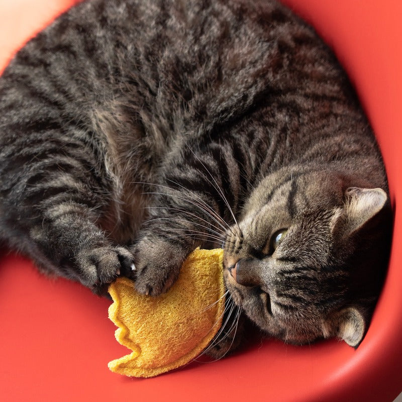 Luffa Catnip Kicker Toy Set - Natural Cat Chew Toys
