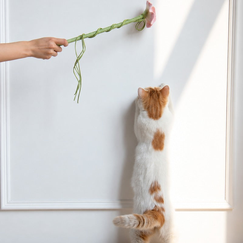 Cat chasing the green suede cords of the CheerMoe Camellia cat wand