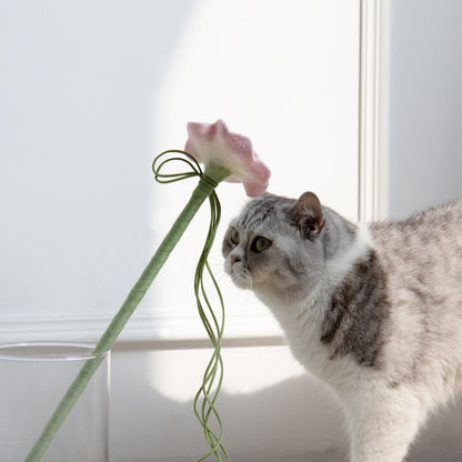 Cat exploring the pink flower of the CheerMoe Camellia cat wand