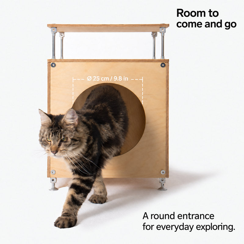 Tabby cat exiting the round entrance of the CheerMoe Haven Cat House