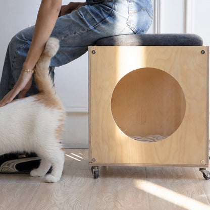 Person sitting on the cushioned Haven Cat House Stool beside a cat