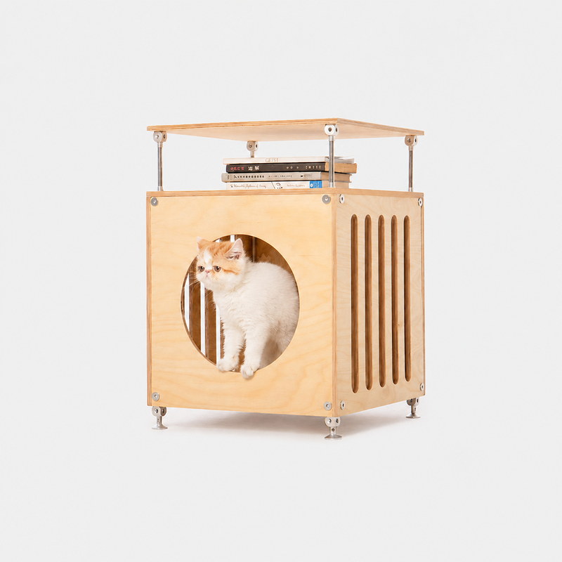 Cat resting inside the Haven Cat House near a window