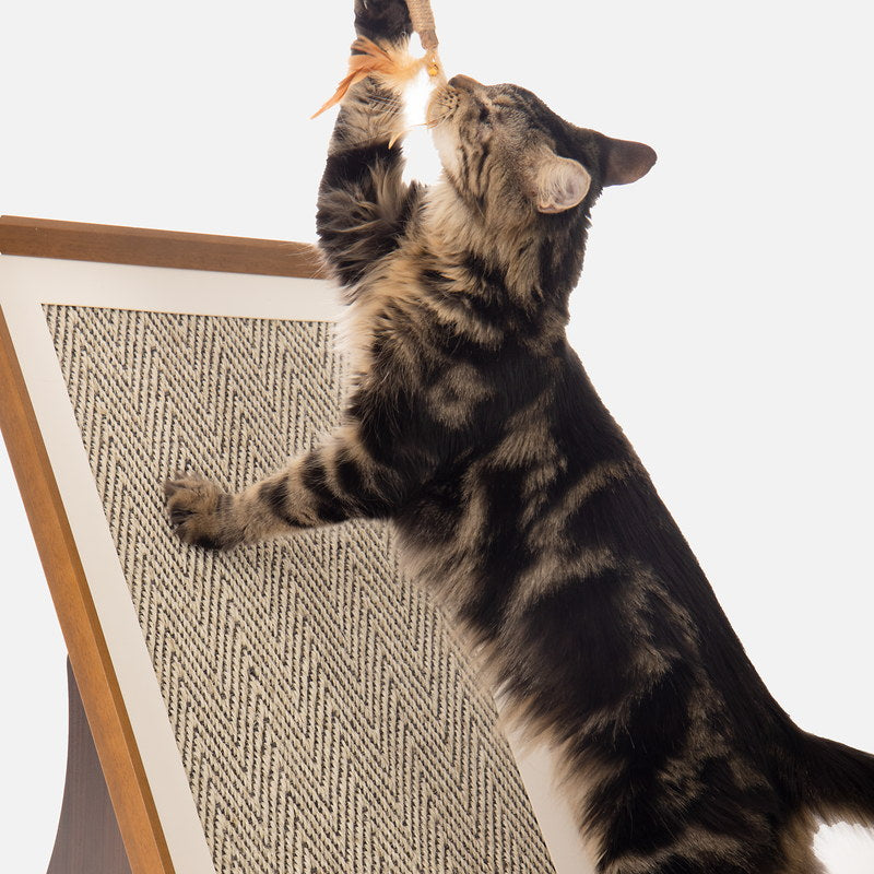 Tabby cat using the angled natural sisal scratching surface