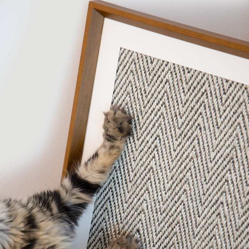 Close-up of a cat paw scratching the natural sisal weave