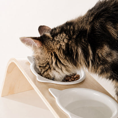 Tabby cat eating from the raised ceramic bowl beside a water bowl