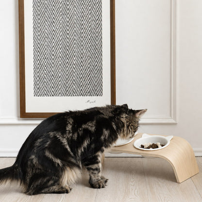 Long-haired tabby cat eating from the Mori raised bowl set