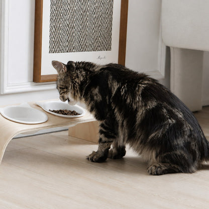 Cat approaching the raised double ceramic cat bowls