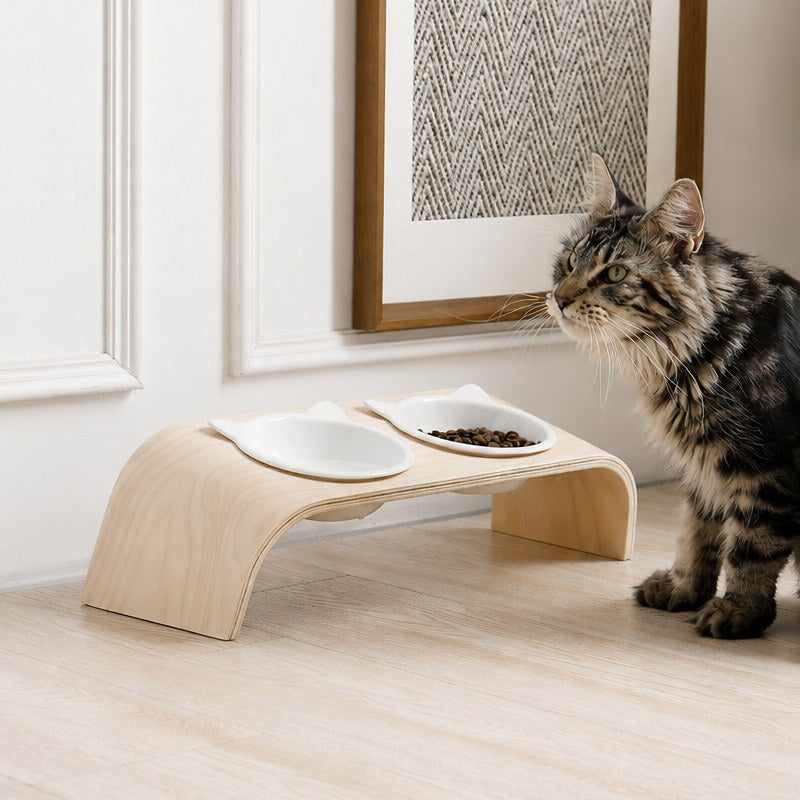 Cat beside the curved plywood feeding stand and ceramic bowls