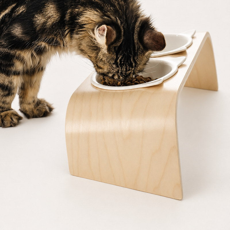 Close side view of a cat eating from the raised cat-ear bowl