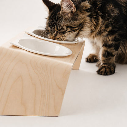 Close-up of the Mori feeder height while a cat eats