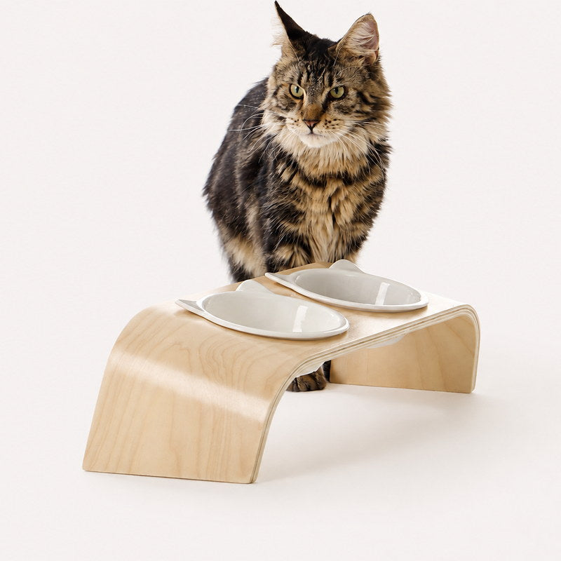 Cat standing behind the Mori double cat feeding station