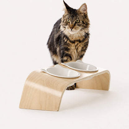 Cat standing behind the Mori double cat feeding station